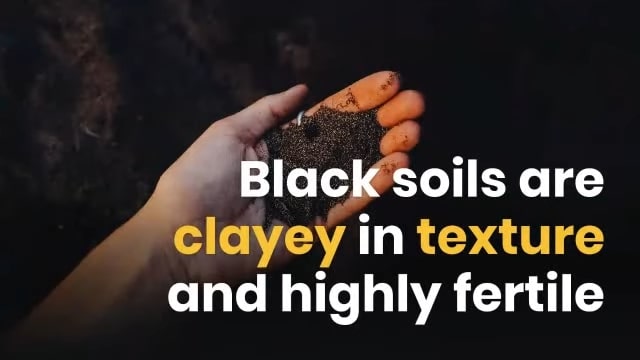 Classification of Black Soil