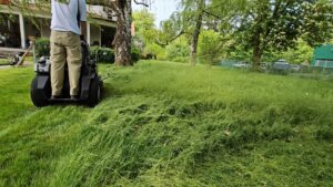 Mow the grass