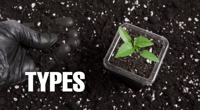 Types of Fertilizers