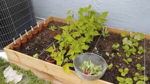 Raised Planter Box Making DIY