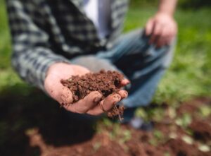 fertility soil