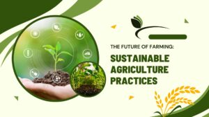 sustainable agriculture