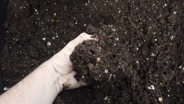 Revitalizing Your Soil