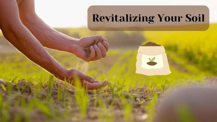 Revitalizing Your Soil: Best Practices for Agricultural Health