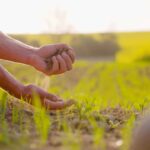 Revitalizing Your Soil – Best Practices for Agricultural Health