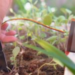 Role of Technology in Soil Health Management