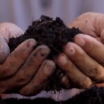 Understanding Soil pH and Its Importance