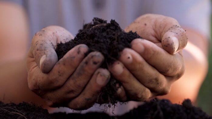 Revitalizing Your Soil: Best Practices for Agricultural Health