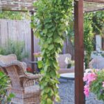 Decorating Your Indoor and Outdoor Space