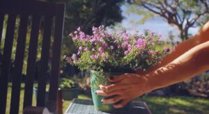 Plan the Outdoors as You Would the Indoors