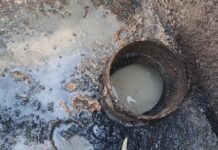 Mastering Drain and Sewer Cleaning in San Diego: A Homeowner's Guide 