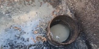 Mastering Drain and Sewer Cleaning in San Diego: A Homeowner's Guide 