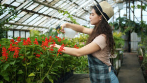 Gardening - Flowers