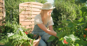 Gardening - Plants