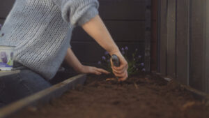 How Did I Get Started with Planting