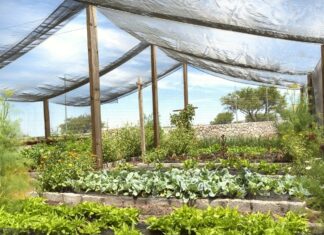 Shade Cloth for Plant Protection