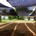 Shade Cloth for Plants